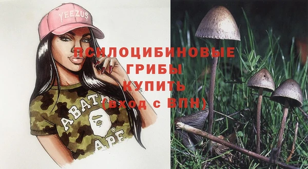 spice Вязьма