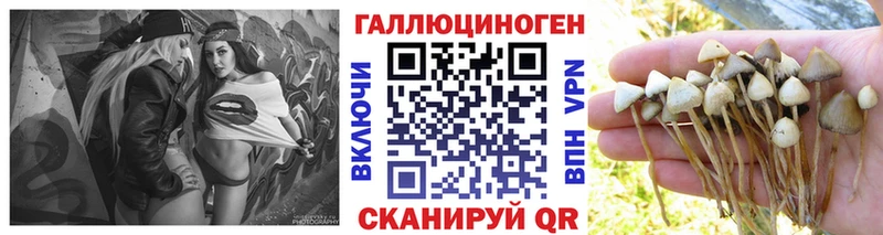 купить наркотик Югорск Псилоцибиновые грибы Psilocybe